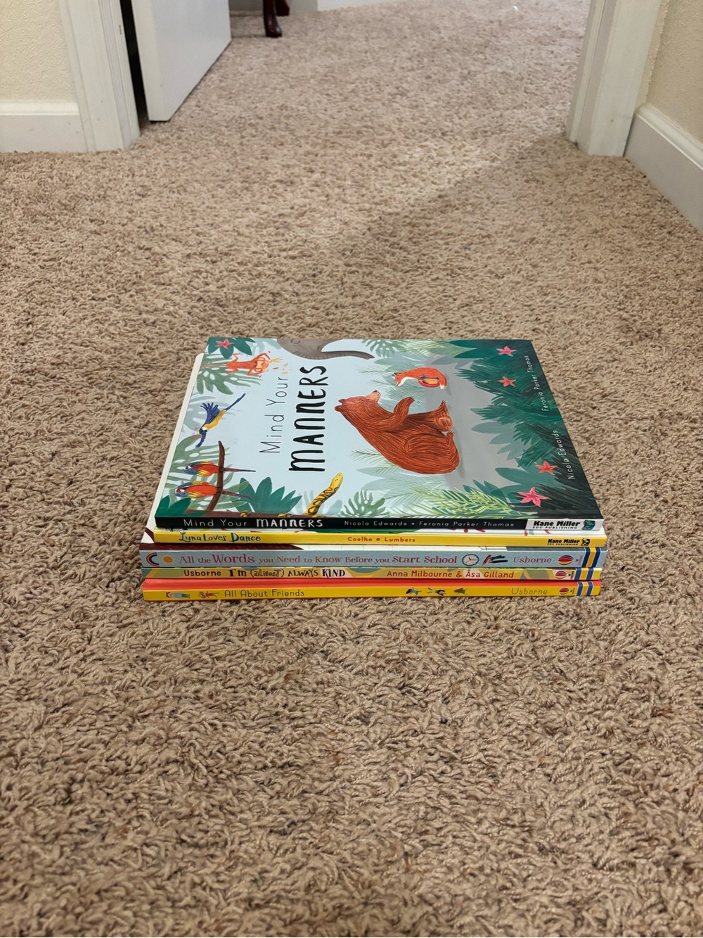 Usborne Children’s Book Lot